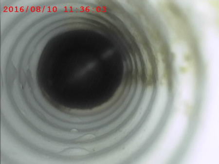 �W���o���Ǔ����B�e