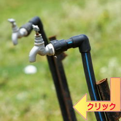 ���i�C���[�W