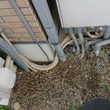 �����ǂ̐��R��