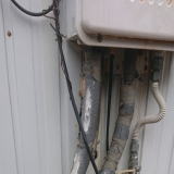 �����ǂ̐��R��